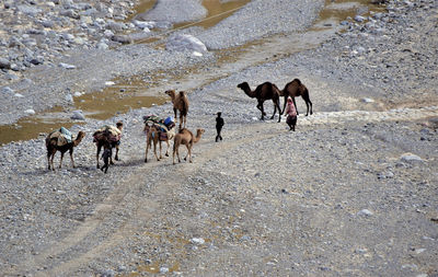 Caravan passes through a stream bed off the main road