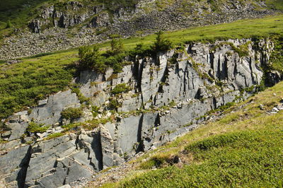 Scenic view of green landscape