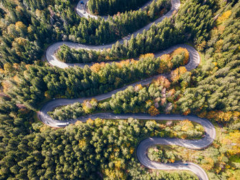 High angle view of road amidst trees