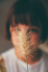 Close-up of dried flower with girl in background