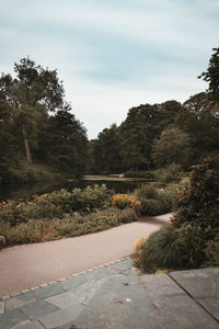 Footpath by street in park against sky