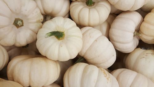 Full frame shot of pumpkins for sale at market stall