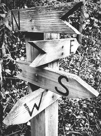 Close-up of wood