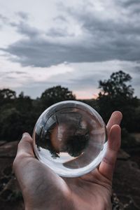 Close-up of hand holding crystal ball against trees