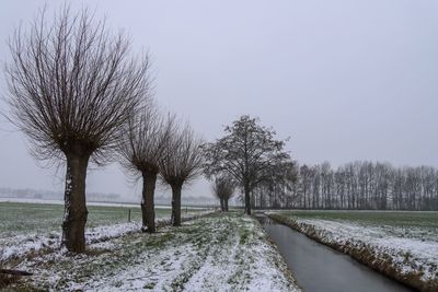 Trees on field against clear sky during winter