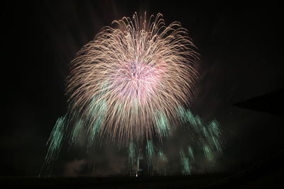 Low angle view of firework display at night