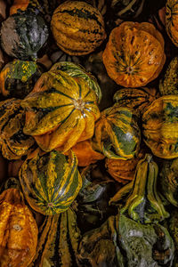 Full frame shot of pumpkin