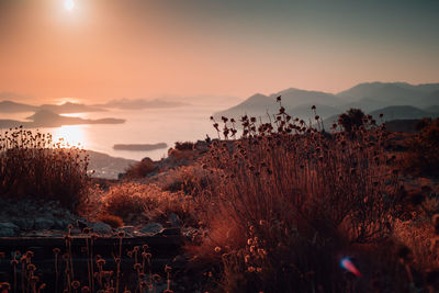 Scenic view of landscape against sky during sunset
