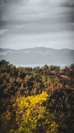 Scenic view of landscape against sky during autumn