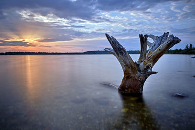 Driftwood by sea against sky during sunset