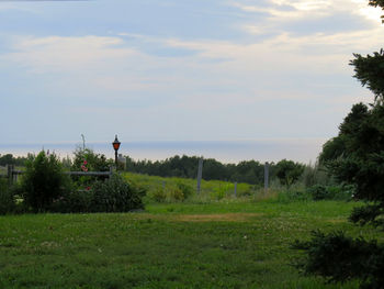 Scenic view of field against sky