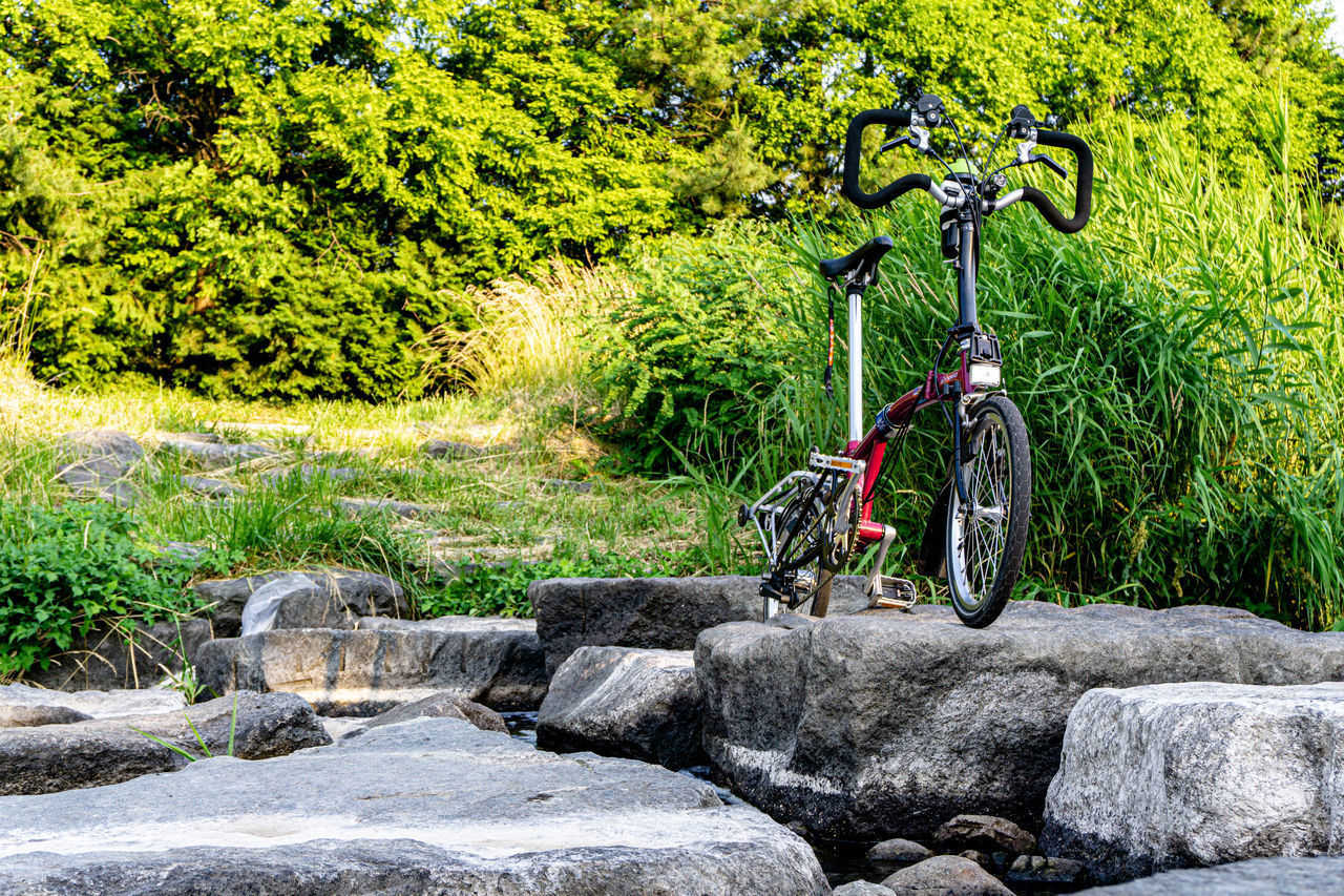 BICYCLE ON ROCKS AGAINST TREES