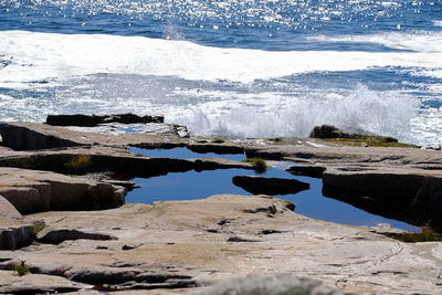 Scenic view of beach