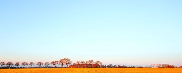 Scenic view of landscape against clear sky