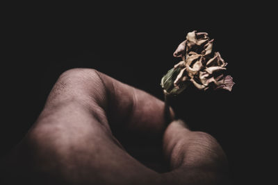 Close-up of hand over black background