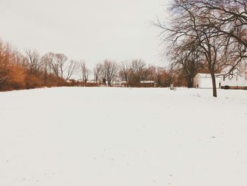 Bare trees on snow covered landscape