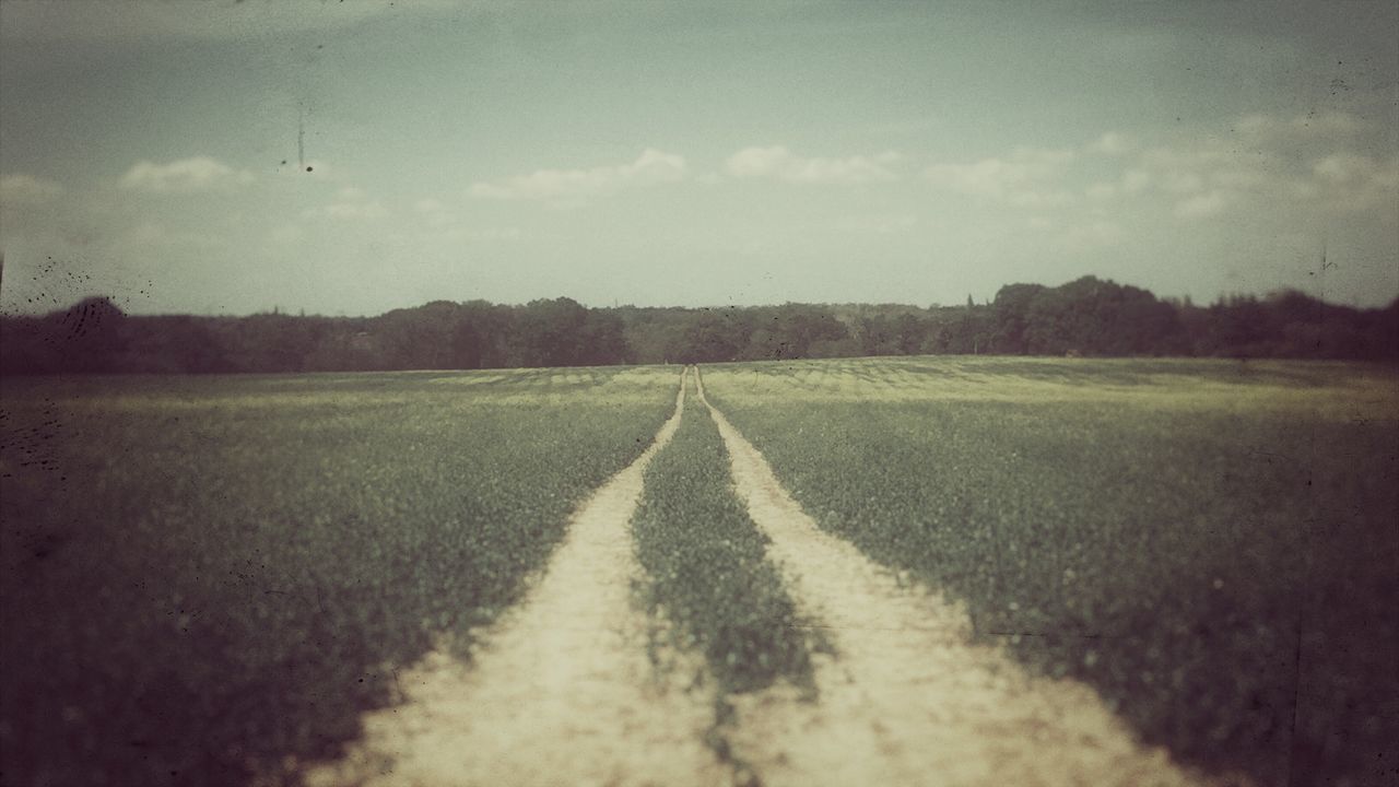 landscape, tranquility, sky, tranquil scene, the way forward, field, nature, scenics, transportation, beauty in nature, rural scene, cloud - sky, diminishing perspective, non-urban scene, grass, road, agriculture, outdoors, horizon over land, remote