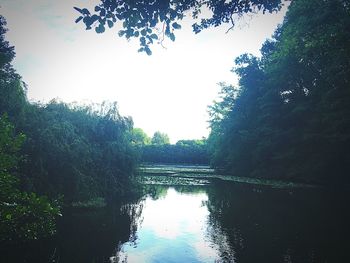 Reflection of trees in lake against sky