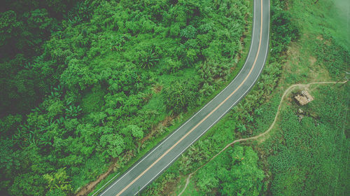 High angle view of road amidst trees in forest