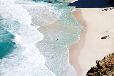 Aerial view of beach