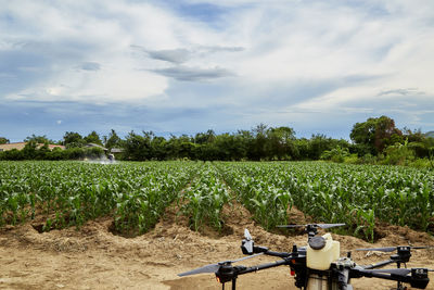 Panoramic view of agricultural field against sky