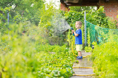 Rear view of woman standing amidst plants