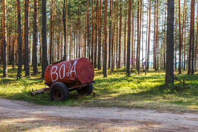 Road by trees in forest