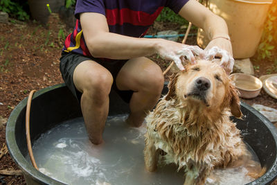 Man bathing dog sitting in tub