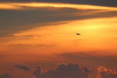 Silhouette bird flying against orange sky
