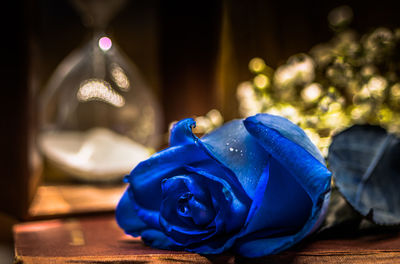 Close-up of blue rose on table
