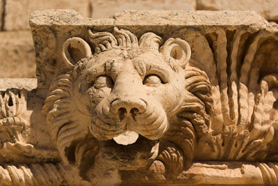 Close-up of statue