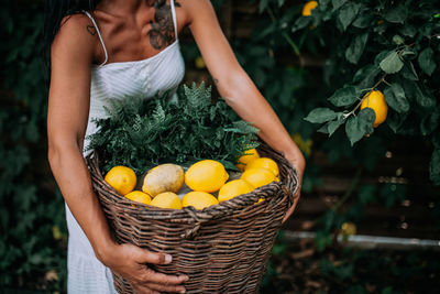 Midsection of woman holding fruits in basket