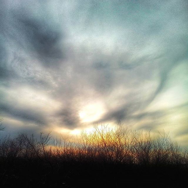 sky, cloud - sky, tranquility, sunset, tranquil scene, field, beauty in nature, scenics, cloudy, nature, silhouette, landscape, growth, weather, plant, cloud, overcast, idyllic, dramatic sky, dusk