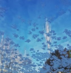 Low angle view of trees against blue sky during winter