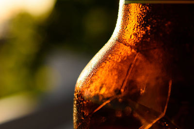 Close-up of beer in glass