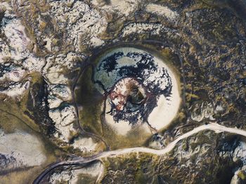 High angle view of horse swimming in water