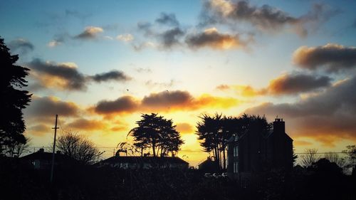Silhouette trees against sky during sunset