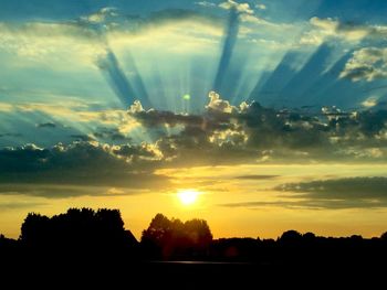 Silhouette of trees at sunset