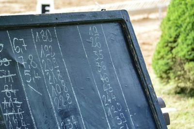 Close-up view of leaf