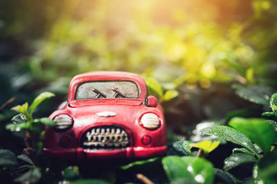 Close-up of toy car