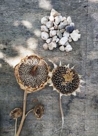 High angle view of dry flowers with stones on wooden table