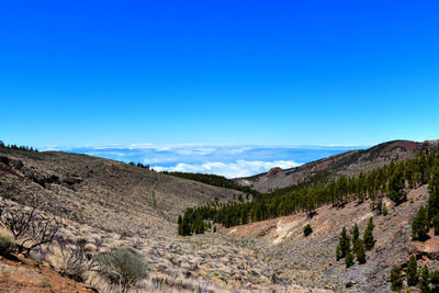 Scenic view of landscape against clear blue sky