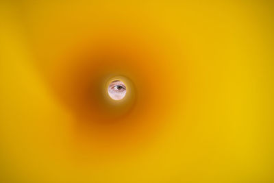 Person peeking through yellow hole
