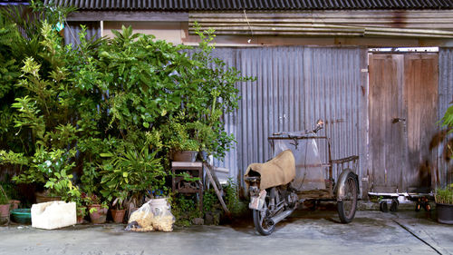 Horse cart against built structure