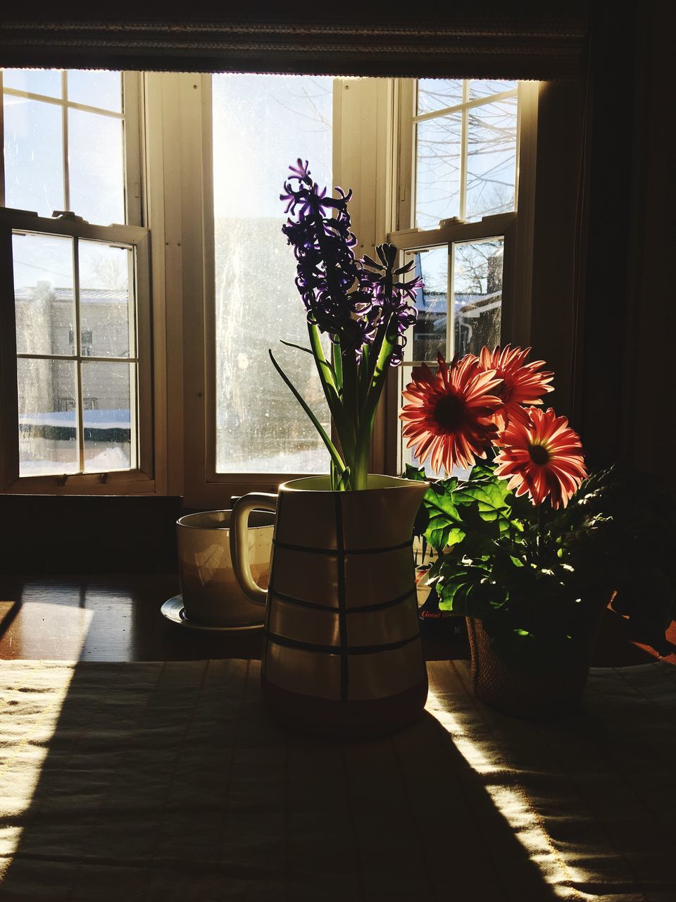 window, flower, vase, indoors, potted plant, plant, home interior, growth, sunlight, day, shadow, curtain, fragility, no people, nature, flower head, beauty in nature, freshness