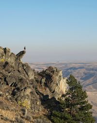 Scenic view of landscape against clear sky