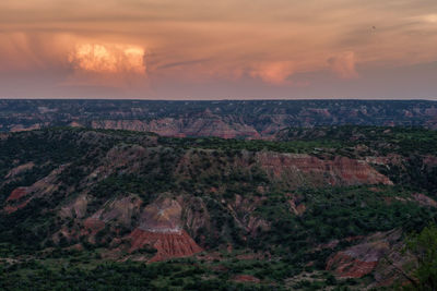 A lone hawk over the entrance to palo duro canyon, tx.