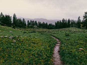 Scenic view of landscape against sky