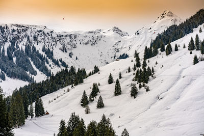 Panoramic view of trees on landscape against sky