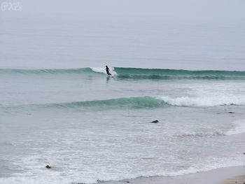 sea